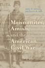 Mennonites, Amish, and the American Civil War - eBook