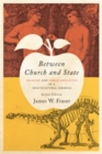 Between Church and State : Religion and Public Education in a Multicultural America - Book