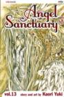 Angel Sanctuary, Vol. 13 - Book