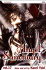 Angel Sanctuary, Vol. 17 - Book