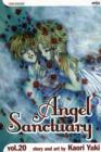 Angel Sanctuary, Vol. 20 - Book