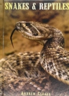 Snakes & Reptiles - Book