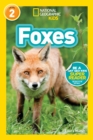 Foxes (L2) - Book