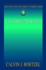 Abingdon New Testament Commentaries: 2 Corinthians - eBook