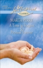 A Time to Forgive & Promise Forever - eBook
