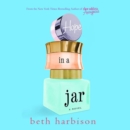 Hope in a Jar : A Novel - eAudiobook