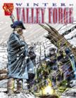 Winter at Valley Forge - eBook
