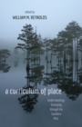 A Curriculum of Place : Understandings Emerging Through the Southern Mist - Book