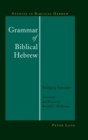 Grammar of Biblical Hebrew - Book