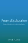 Postmulticulturalism : Realities, Discourses, Practices - eBook