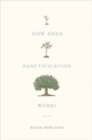 How Does Sanctification Work? - Book