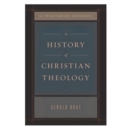 A History of Christian Theology : A Trinitarian Approach - Book
