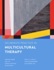 Deliberate Practice in Multicultural Therapy - Book