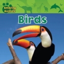 Birds - eBook