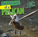 The Life Cycle of a Pelican - eBook