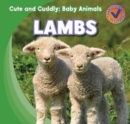 Lambs - eBook