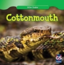 Cottonmouth - eBook