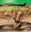 Egyptian Cobra - eBook