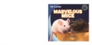 Marvelous Mice - eBook