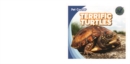 Terrific Turtles - eBook