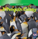A Penguin Colony - eBook