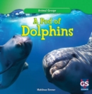 A Pod of Dolphins - eBook