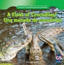 A Float of Crocodiles / Una manada de cocodrilos - eBook