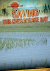 Saving the Chesapeake Bay - eBook