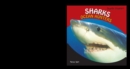Sharks - eBook