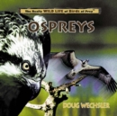 Ospreys - eBook
