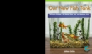 Our New Fish Tank : Learning to Estimate and Round Numbers to the Nearest Ones, Tens, and Hundreds Places - eBook
