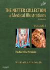 Netter Collection of Medical Illustrations: Endocrine System E-book : Netter Collection of Medical Illustrations: Endocrine System E-book - eBook