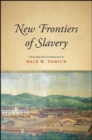 New Frontiers of Slavery - eBook