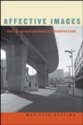 Affective Images : Post-apartheid Documentary Perspectives - eBook