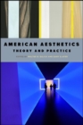 American Aesthetics : Theory and Practice - eBook