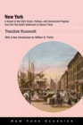 New York : A Sketch of the City's Social, Political, and Commercial Progress from the First Dutch Settlement to Recent Times - eBook