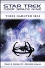 Star Trek: Deep Space Nine: These Haunted Seas - eBook