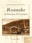 Roanoke in Vintage Postcards - eBook