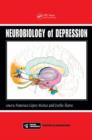 Neurobiology of Depression - Book