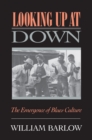 Looking Up at Down : The Emergence of Blues Culture - eBook