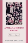 African American Writing : A Literary Approach - Book