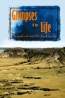 Glimpses of My Life : The People and Events That Shaped My Life - eBook