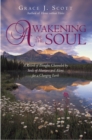 Awakening of the Soul : A Record of Thoughts Channeled by Souls of Humans and Aliens for a Changing Earth - eBook