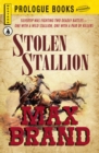 Stolen Stallion - eBook