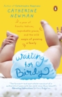 Waiting for Birdy - eBook