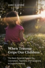 When Trauma Grips Our Children : The Basic Pyramid System for Counselors, Teachers, and Caregivers to Support Healing - eBook