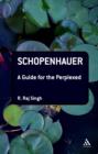 Schopenhauer: A Guide for the Perplexed - eBook