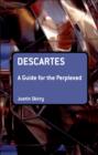 Descartes: A Guide for the Perplexed - eBook