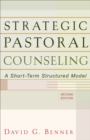 Strategic Pastoral Counseling : A Short-Term Structured Model - eBook