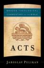 Acts (Brazos Theological Commentary on the Bible) - eBook